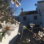 Charming Spanish Finca In Beautiful Nature