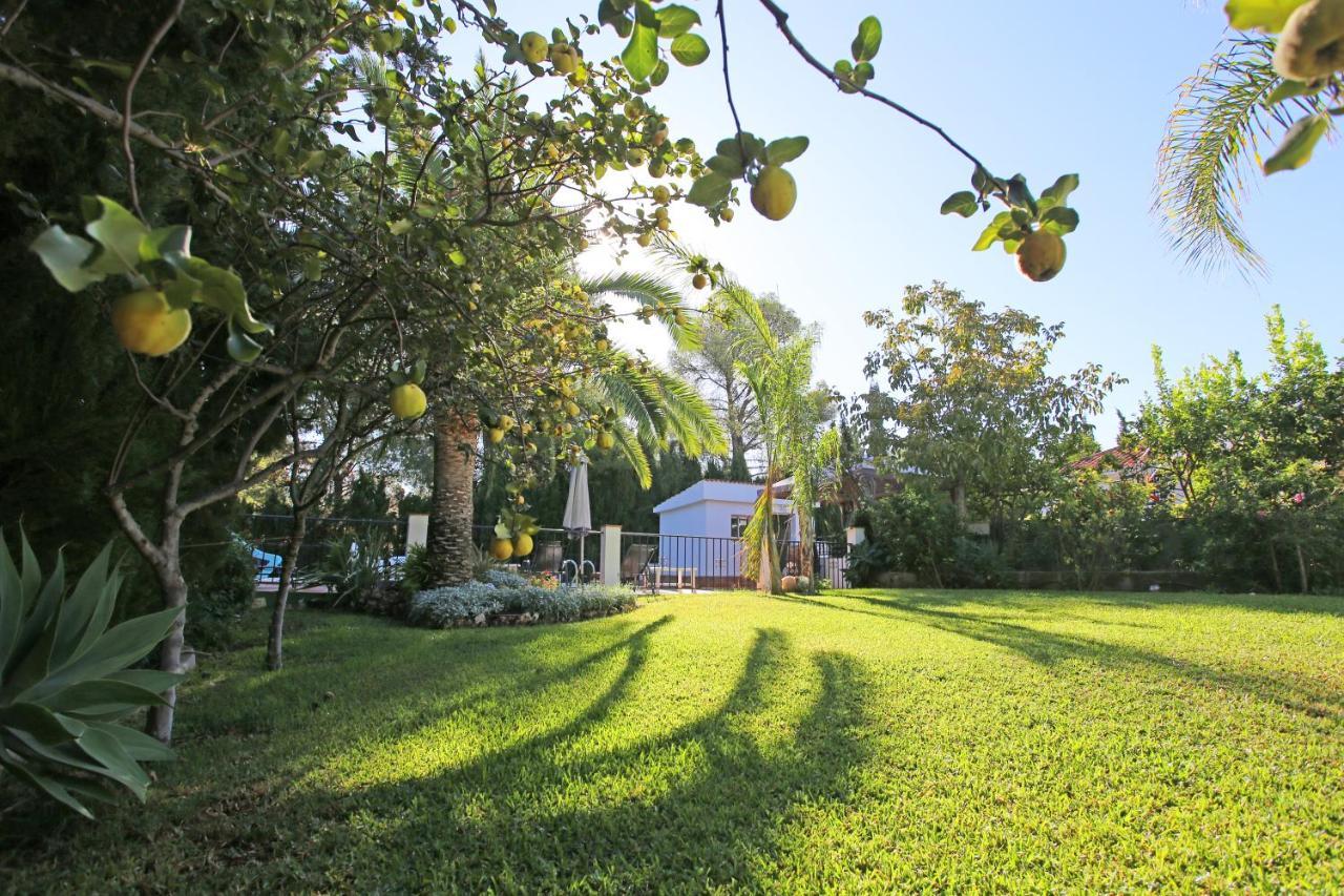 El Hogar * Malaga
