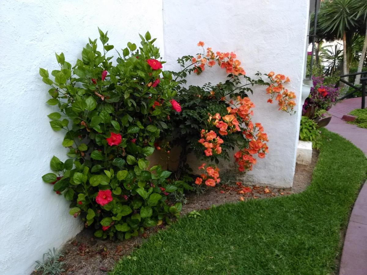 Apartamento Apartamento Laguna Beach, Torrox Costa,