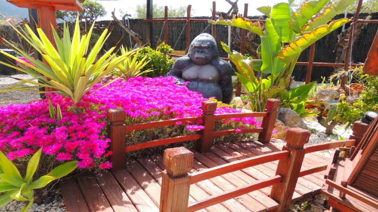 Vacation Albatros Villa&glamping Spain Apartamento *