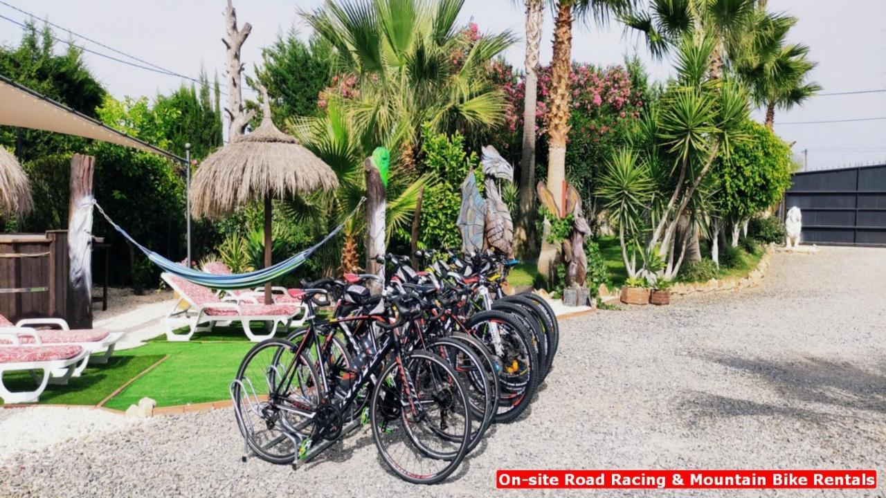 Vacation Albatros Villa&glamping Spain *