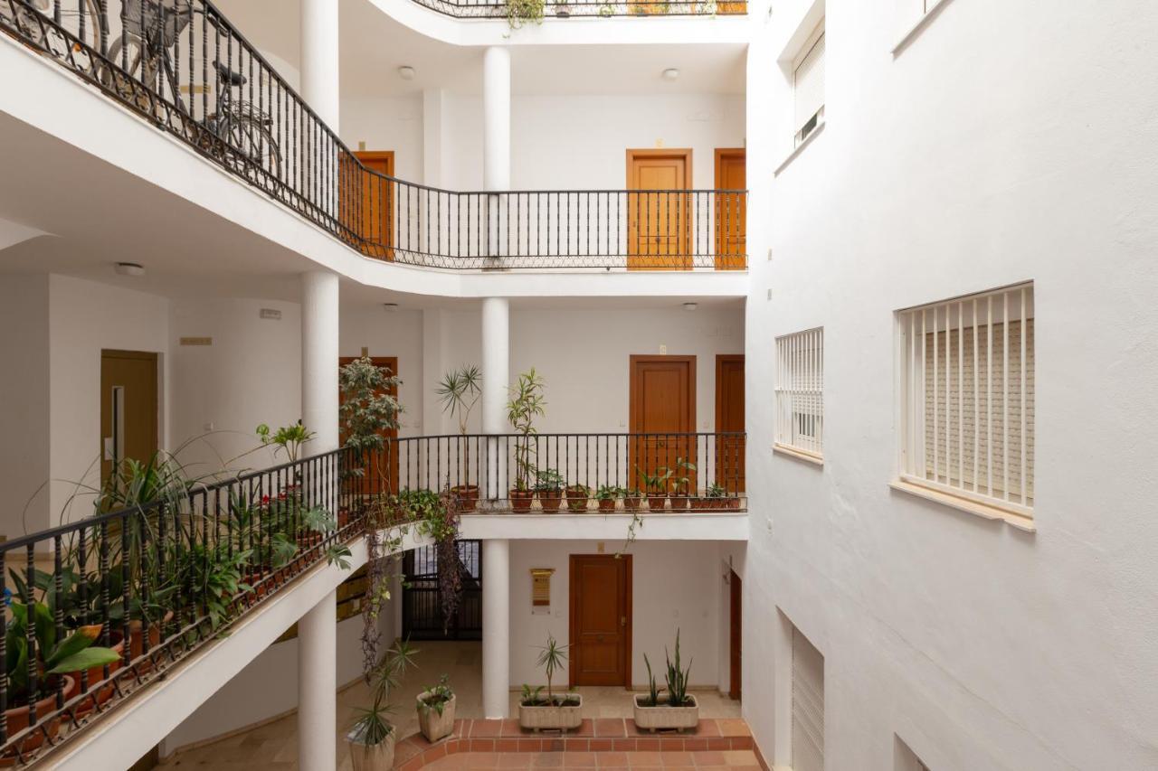 Center * Málaga