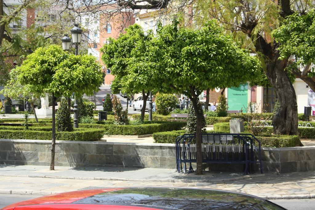 Suncity Plaza * Malaga