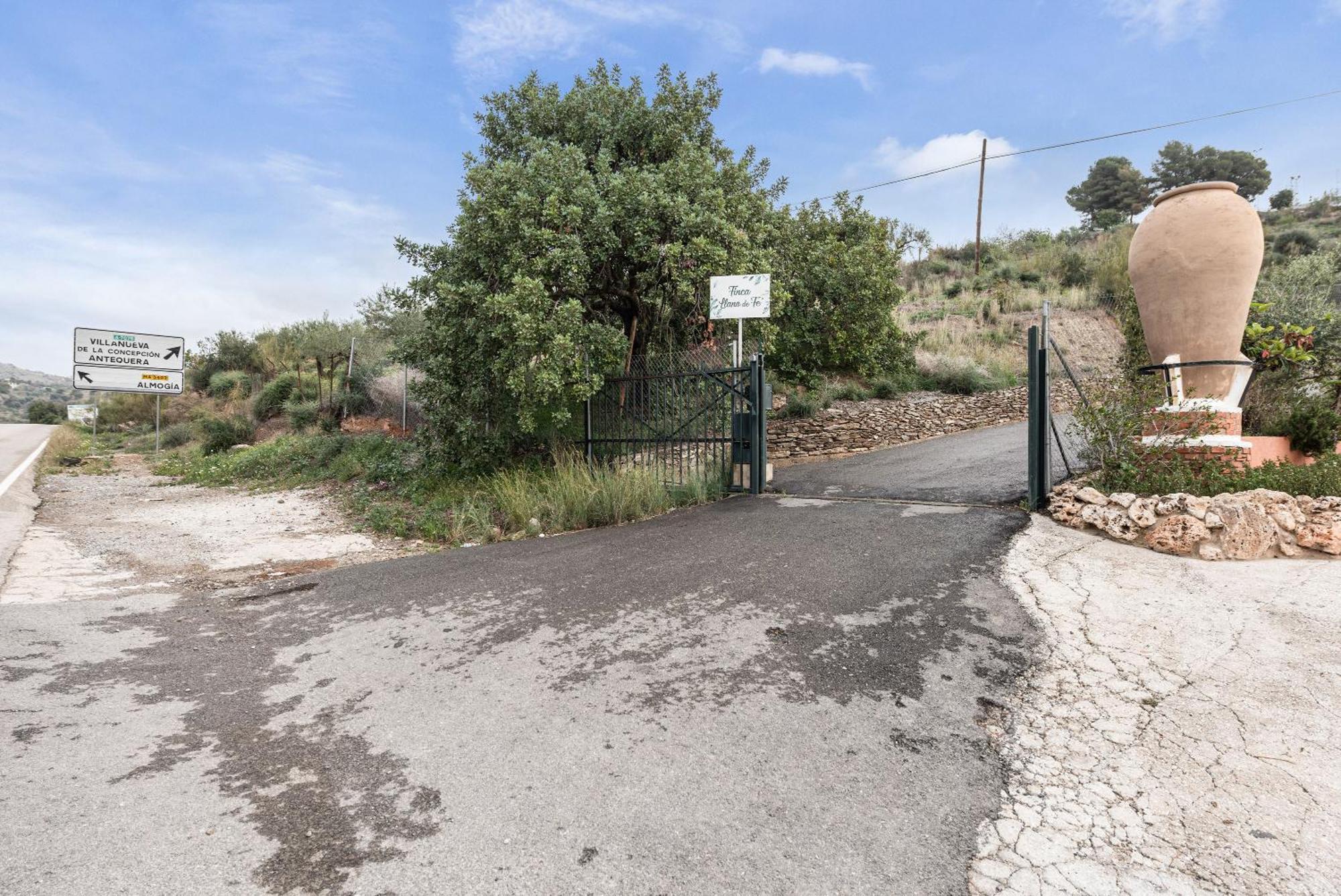 Llano De Fe * Malaga