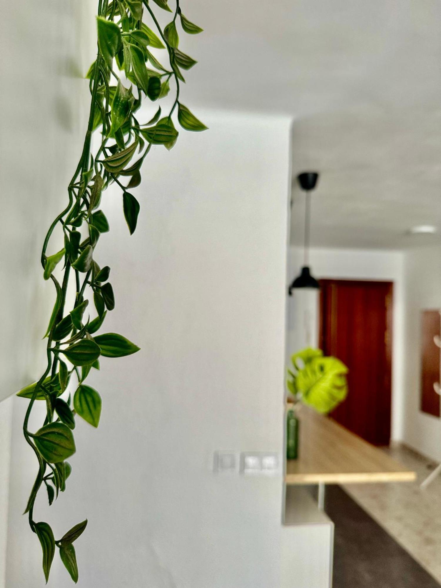 Acogedor En Apartment Malaga