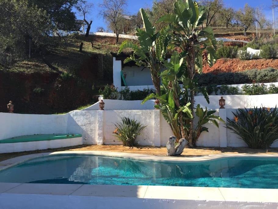 Charming Spanish In Beautiful Nature Villa *