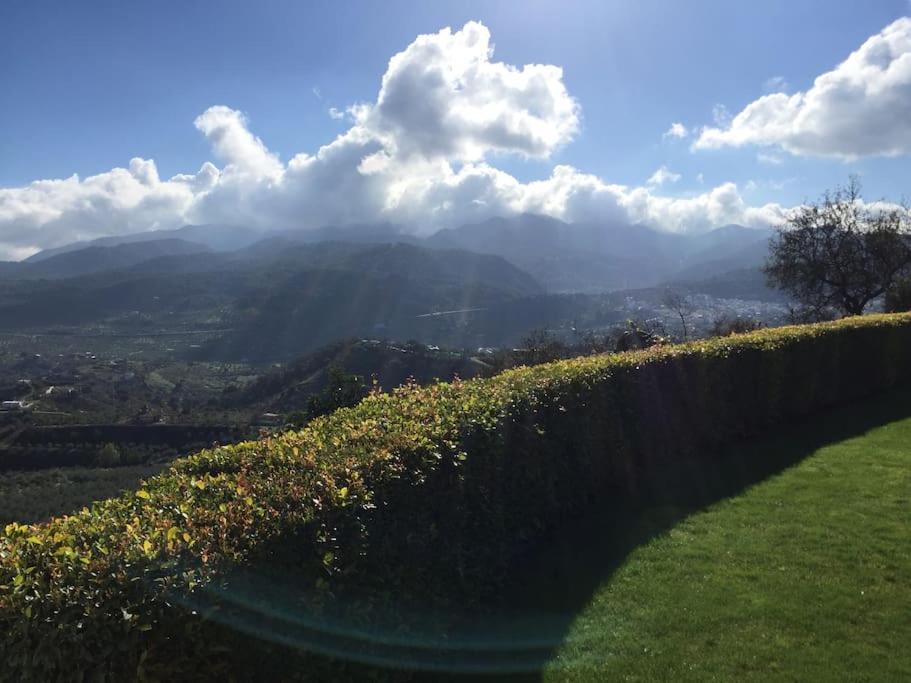 Charming Spanish In Beautiful Nature