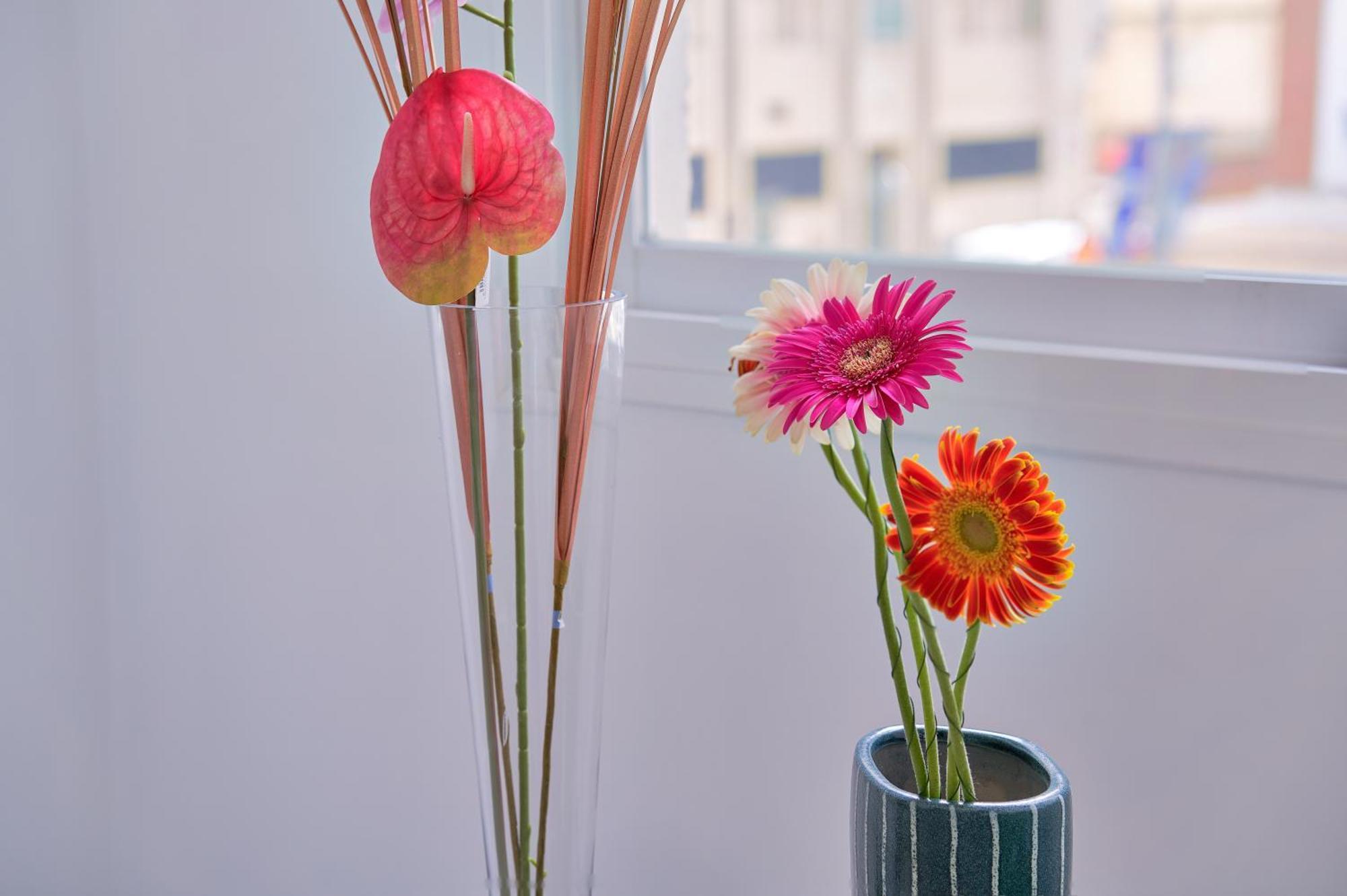 Apartamento Urban Exclusive Experience In *