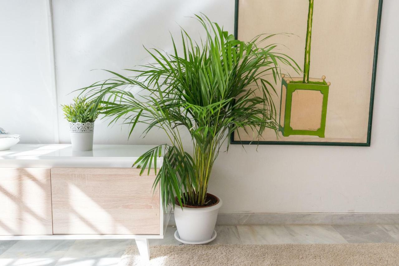 Ambc-very Quiet Steps Away From Old Town * Málaga
