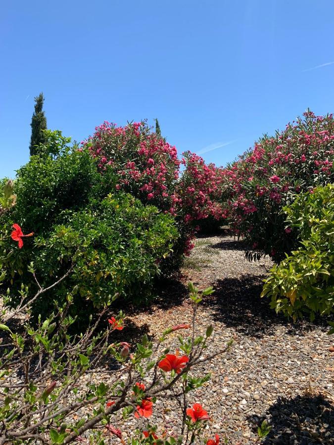 Finca Edyta * Málaga