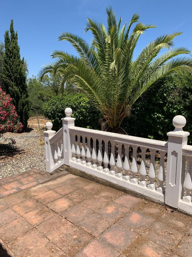 Villa Finca Edyta *