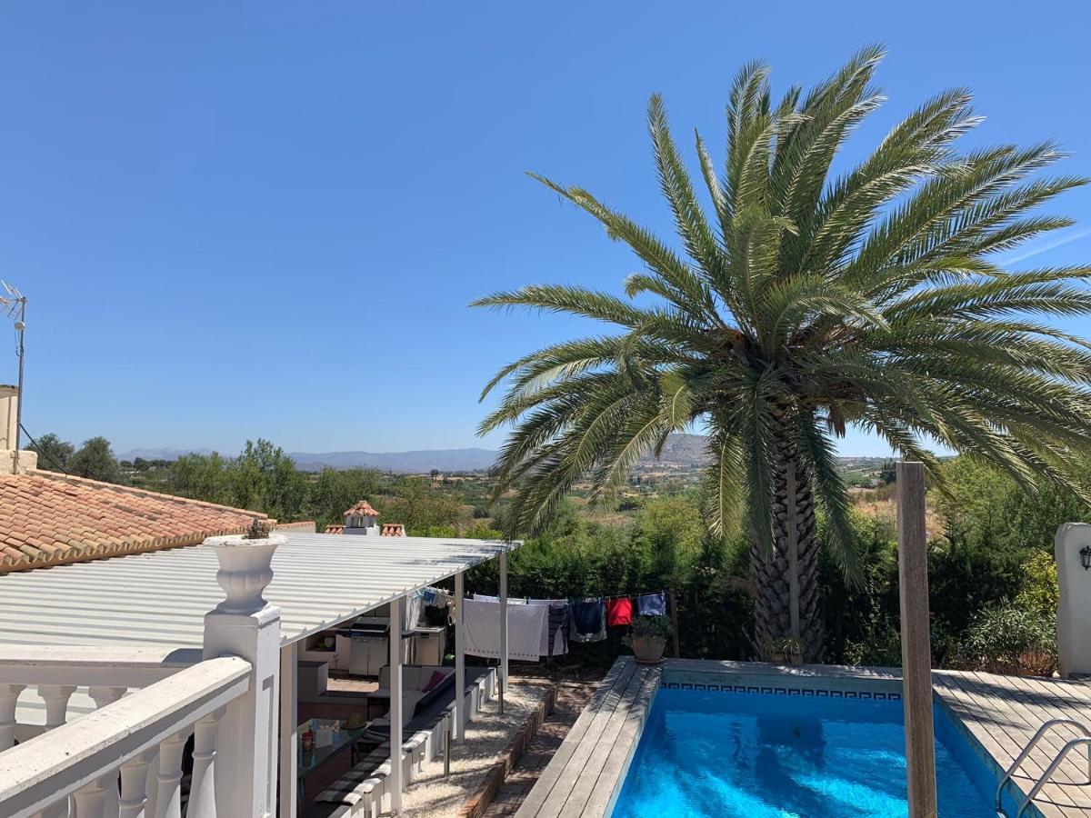Villa Finca Edyta *
