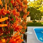 Suite Apto de invitados Montes de Málaga- Climatized Pool&Garden