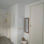 Coqueto Estudio San Quintin