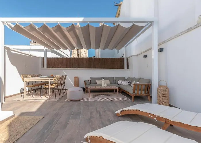 Attic Oasis