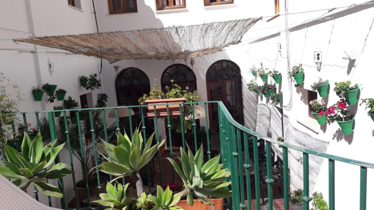 Humaina Malaga