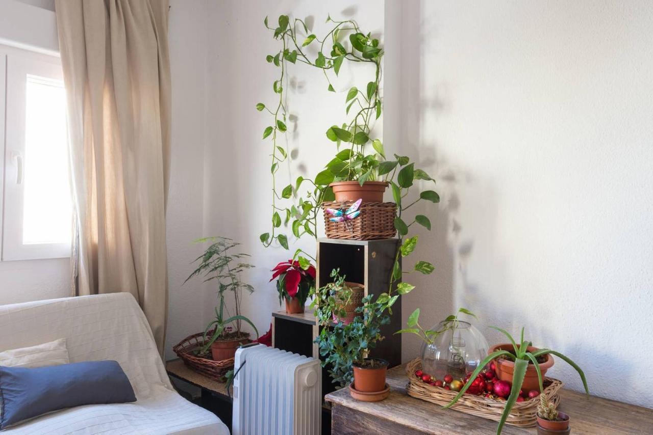 Habitación en casa particular House Fata