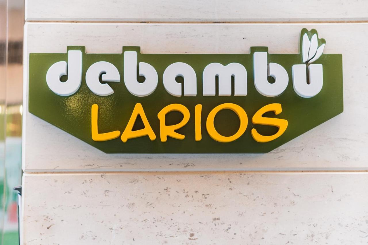 Debambu Larios Málaga