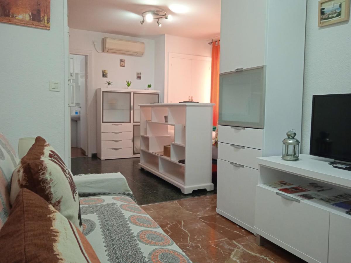 Apartamento Con Encanto 'larios Studio' Apartment