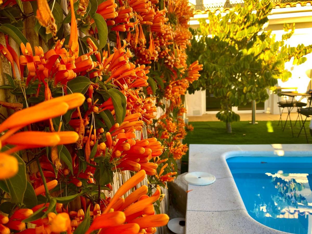 Apartamento Apto De Invitados Montes De Málaga- Climatized Pool&garden