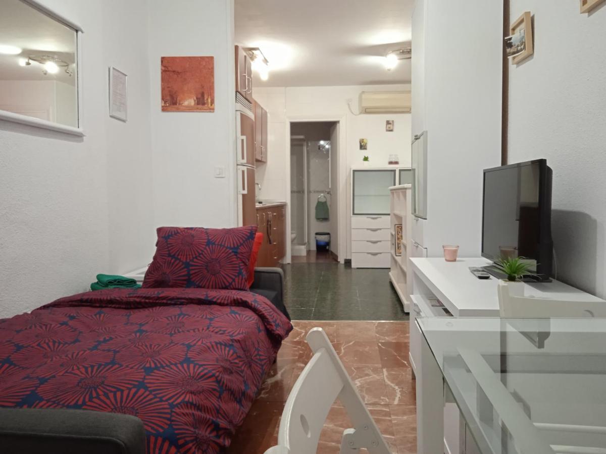 Apartment Apartamento Con Encanto 'larios Studio' Malaga