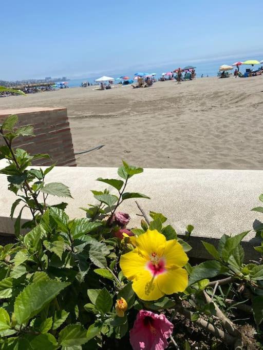 Higueronrentals Bahia Apartamento Málaga