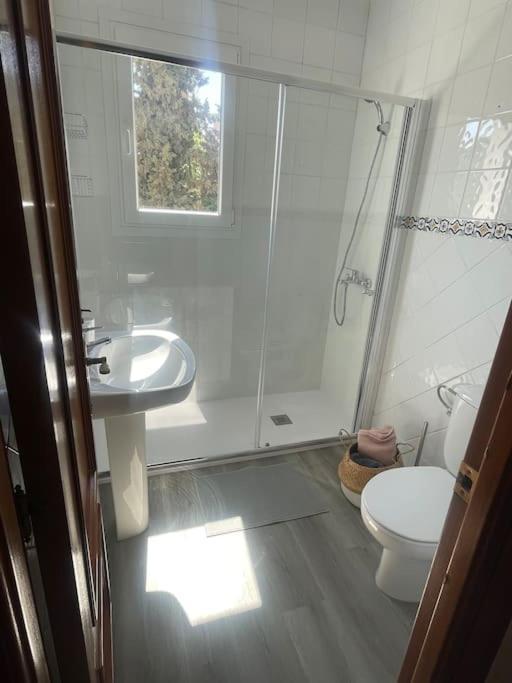 Apartamento Exclusive Limonar