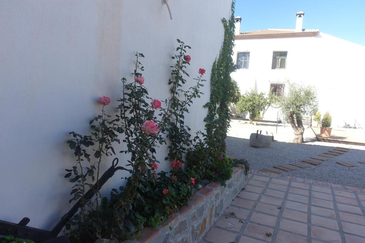 Galwey, Tourist Appartments With Wifi Apartamento