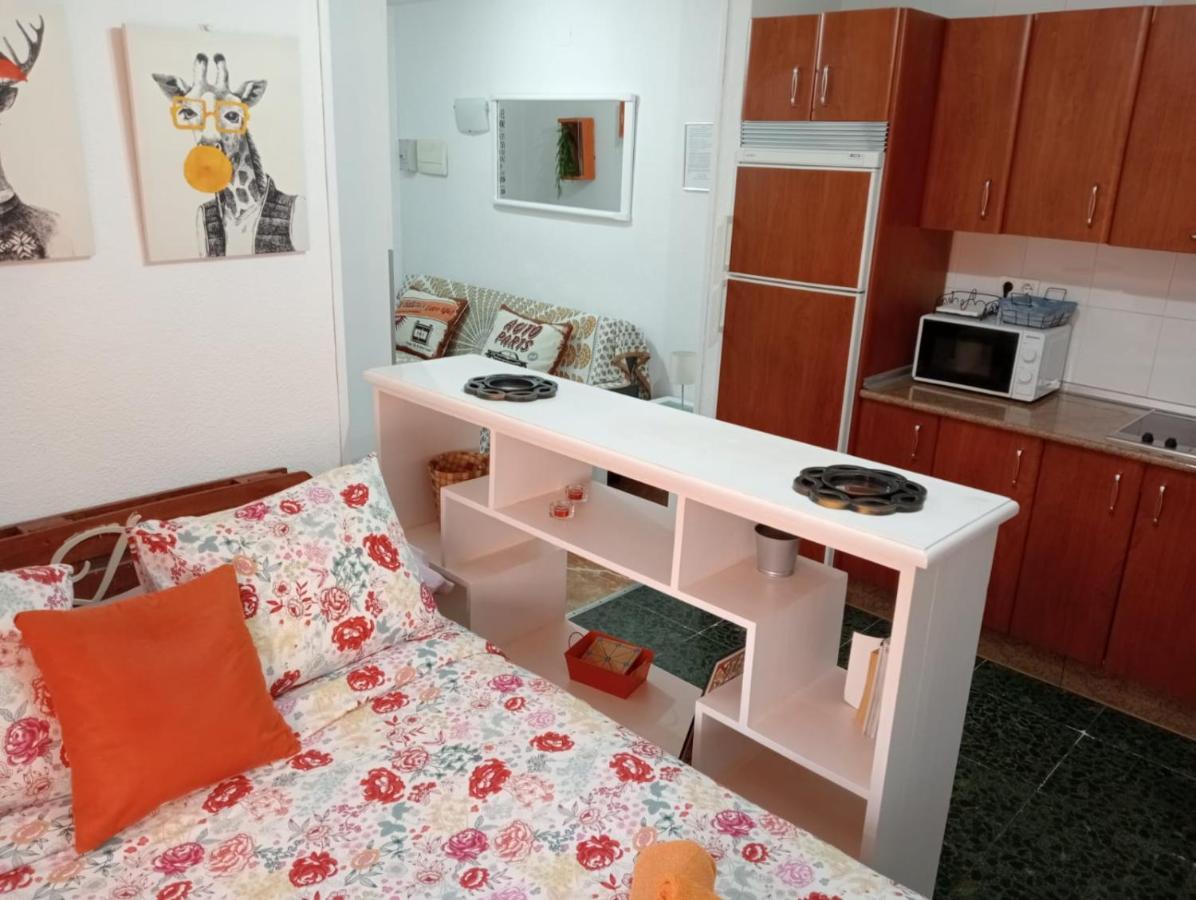Apartamento Con Encanto 'larios Studio' Apartment