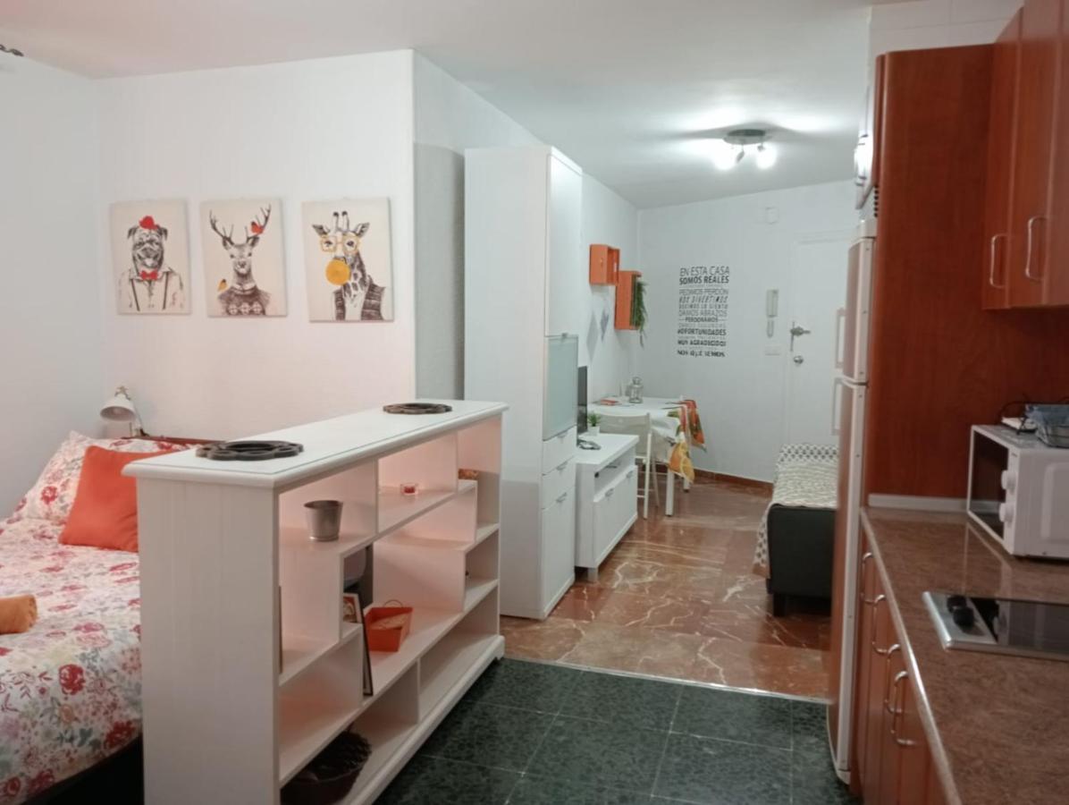 Apartment Apartamento Con Encanto 'larios Studio'