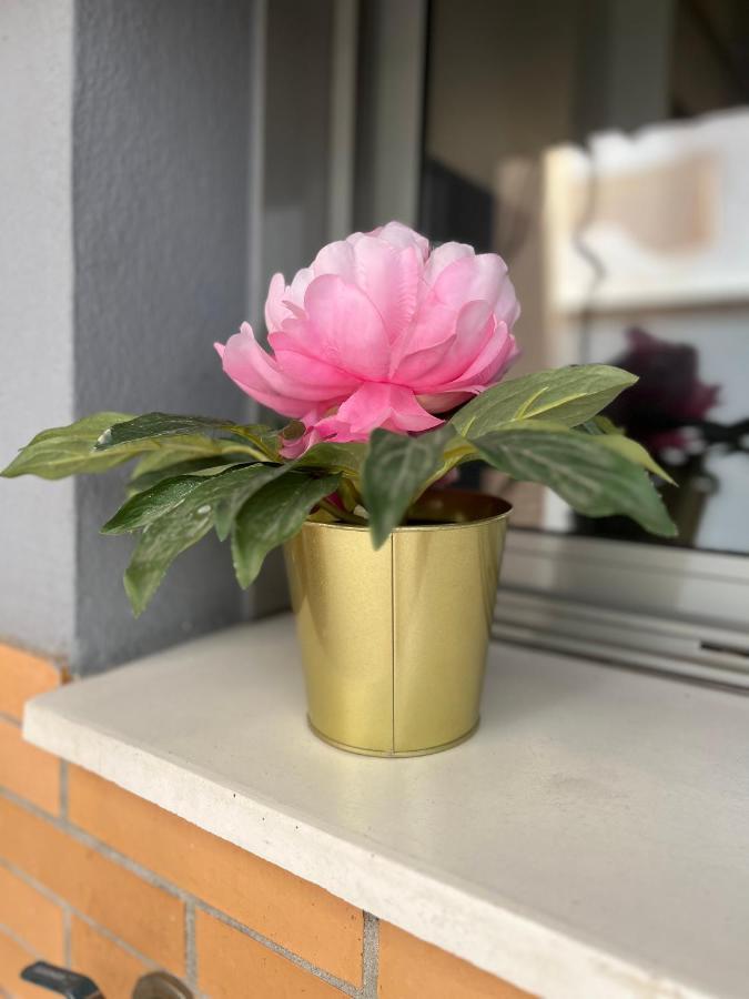Estudio Centrico Y Moderno En Apartamento Málaga