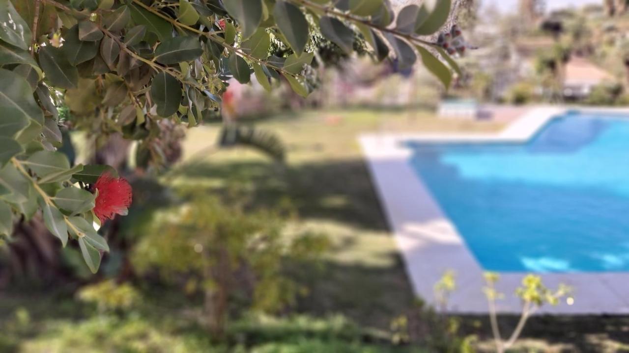 Apartment Del Parque Flats Interpares Swimmingpool