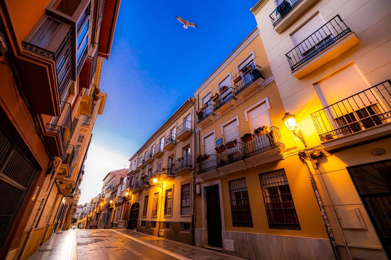 Montaño17b * Málaga