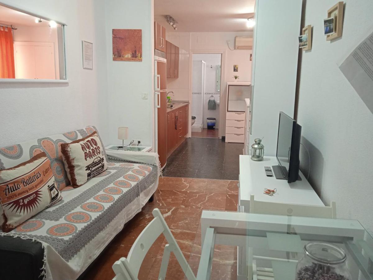 Apartment Apartamento Con Encanto 'larios Studio' Malaga