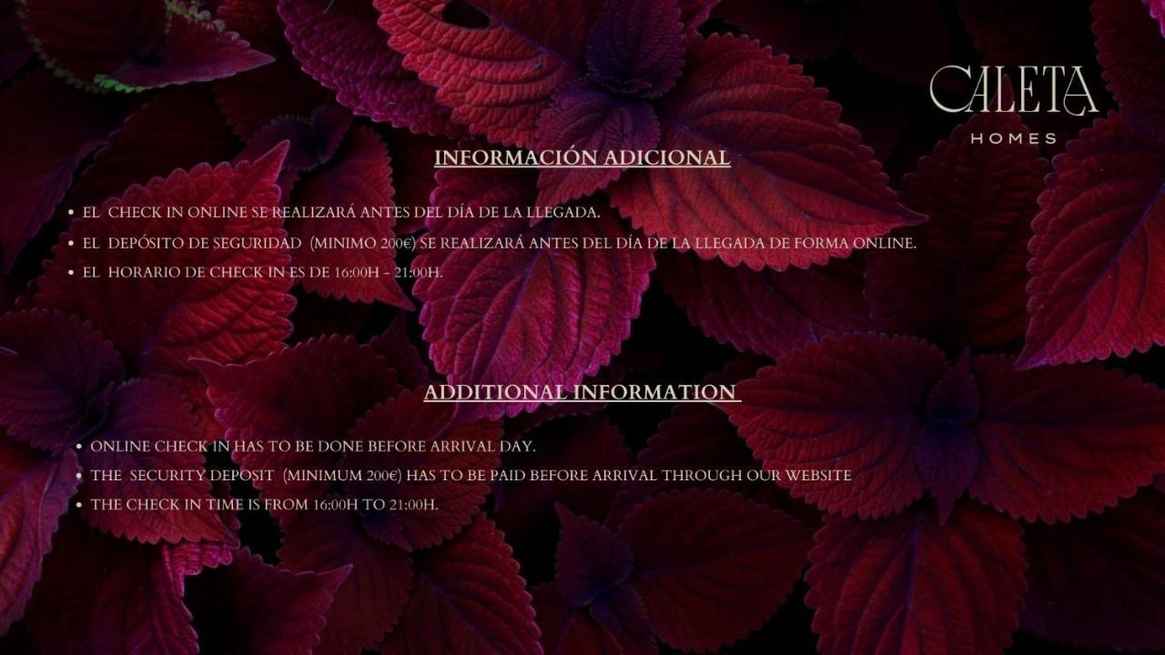 Caleta Homes - Ancha Del Carmen Apartamento *