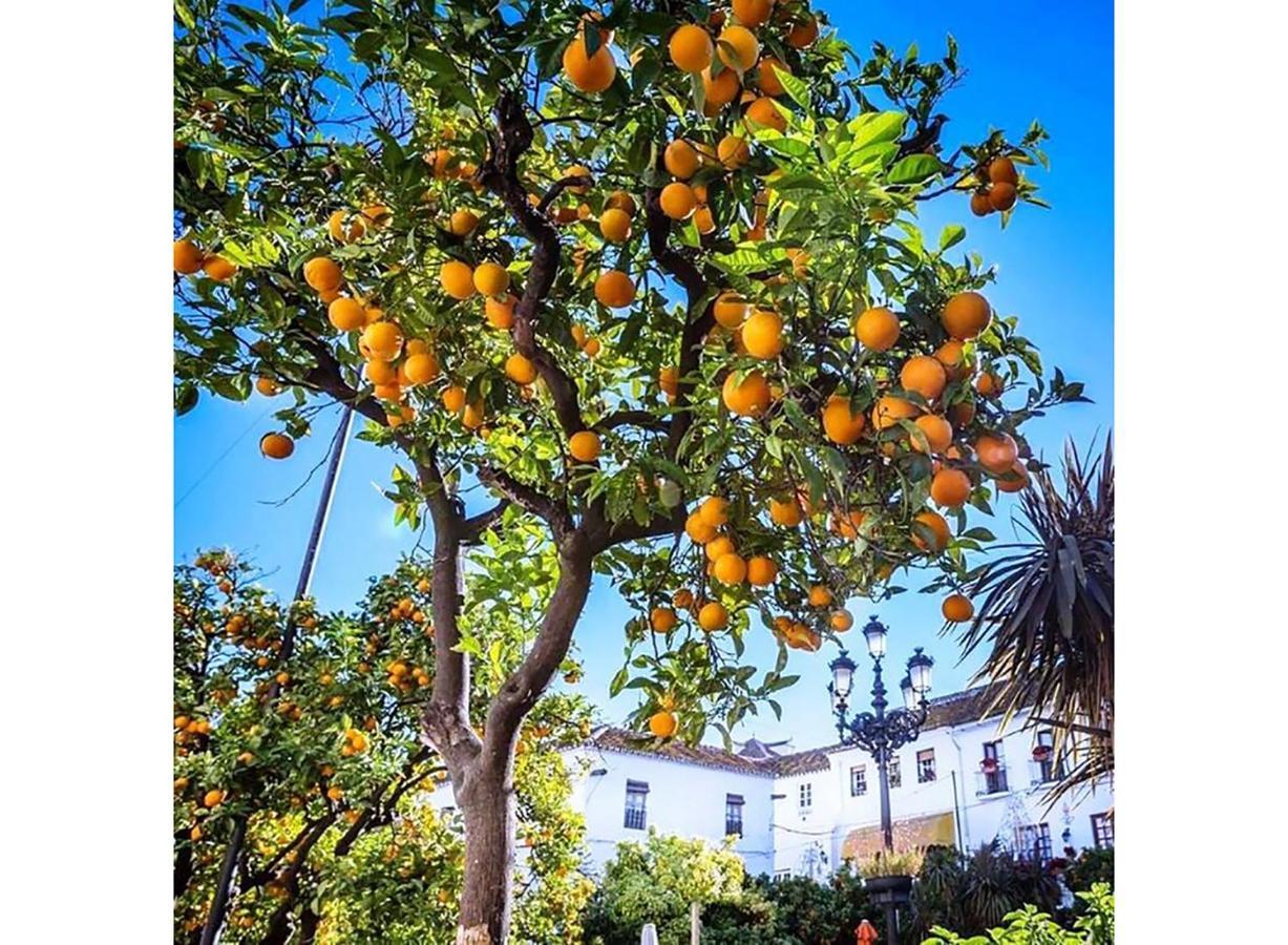 Costa Del Sol Bel Vue Exceptionnelle Sur Apartamento Málaga