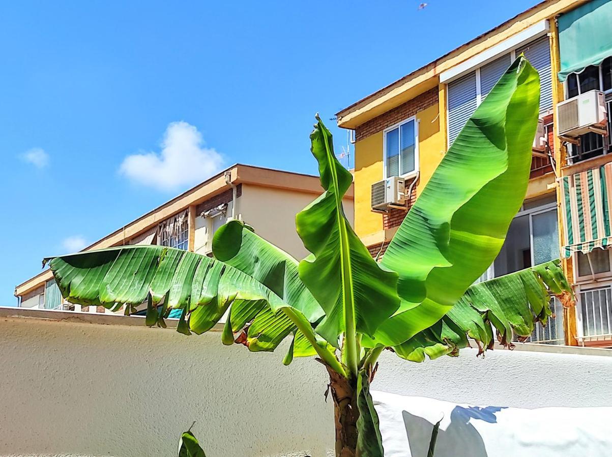 Apartamento Manuela Nogales Apartments! *