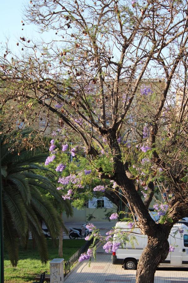 Apartment Paz Malaga