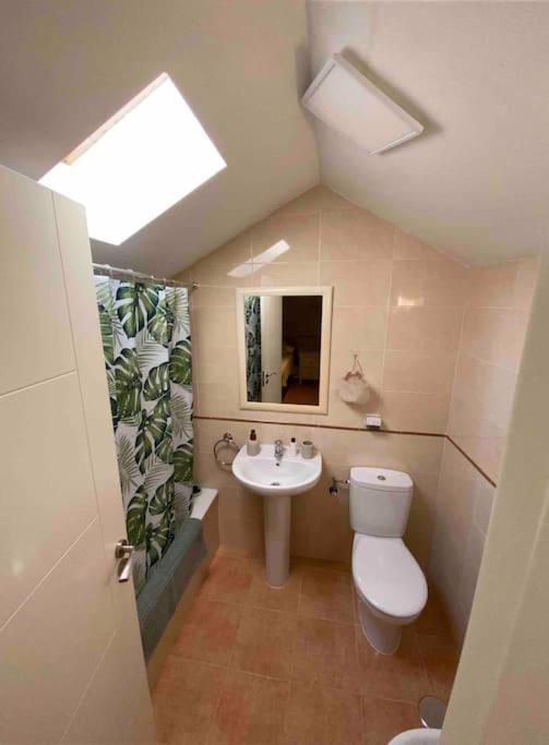 Acogedor Duplex En Centro Apartamento *