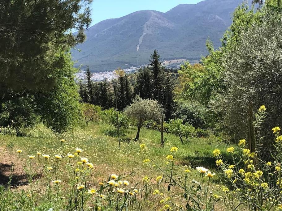 Apartment Penthouse Apartment, Cortijo Fruitful Hills *