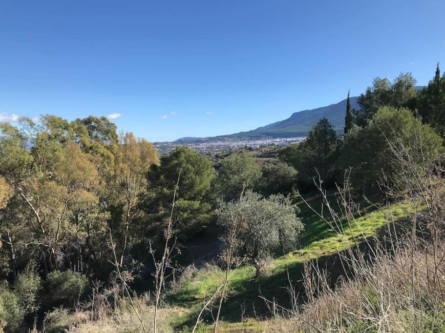 Apartment Penthouse Apartment, Cortijo Fruitful Hills Malaga