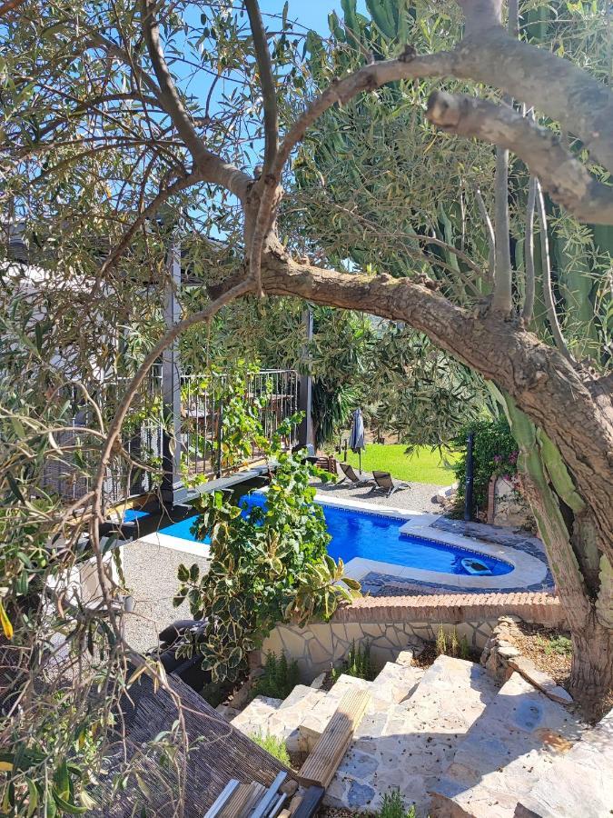 Penthouse Apartment, Cortijo Fruitful Hills Apartment *