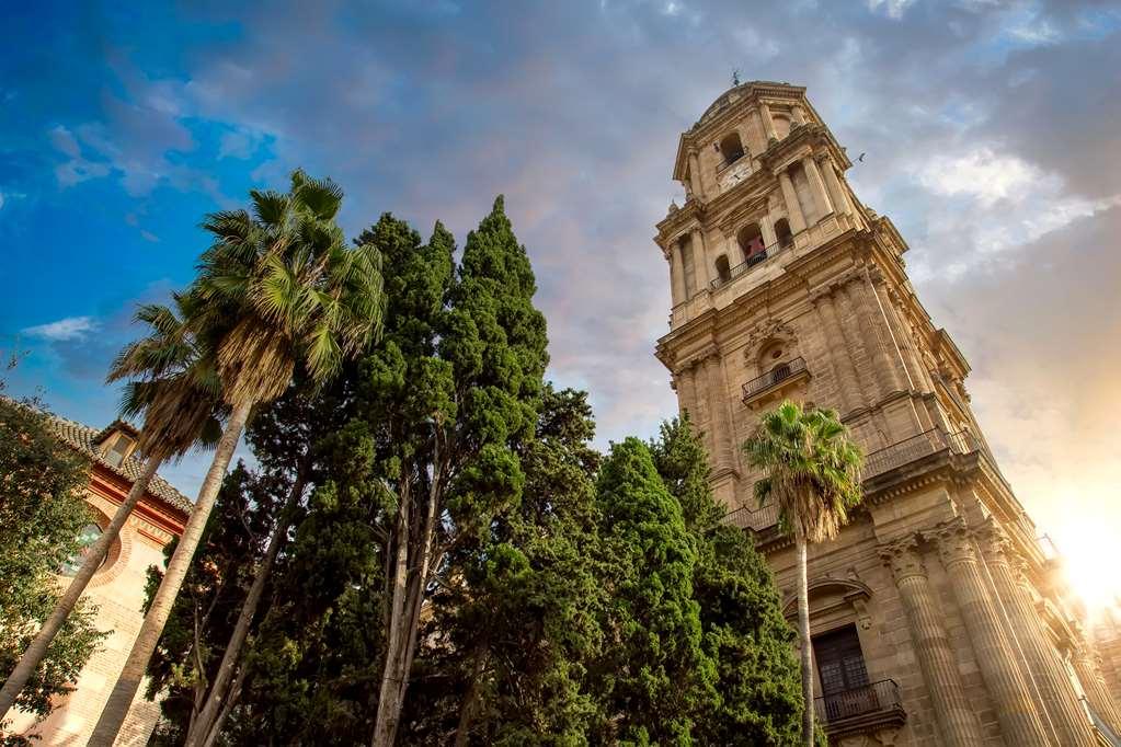 Vincci Larios Diez Malaga