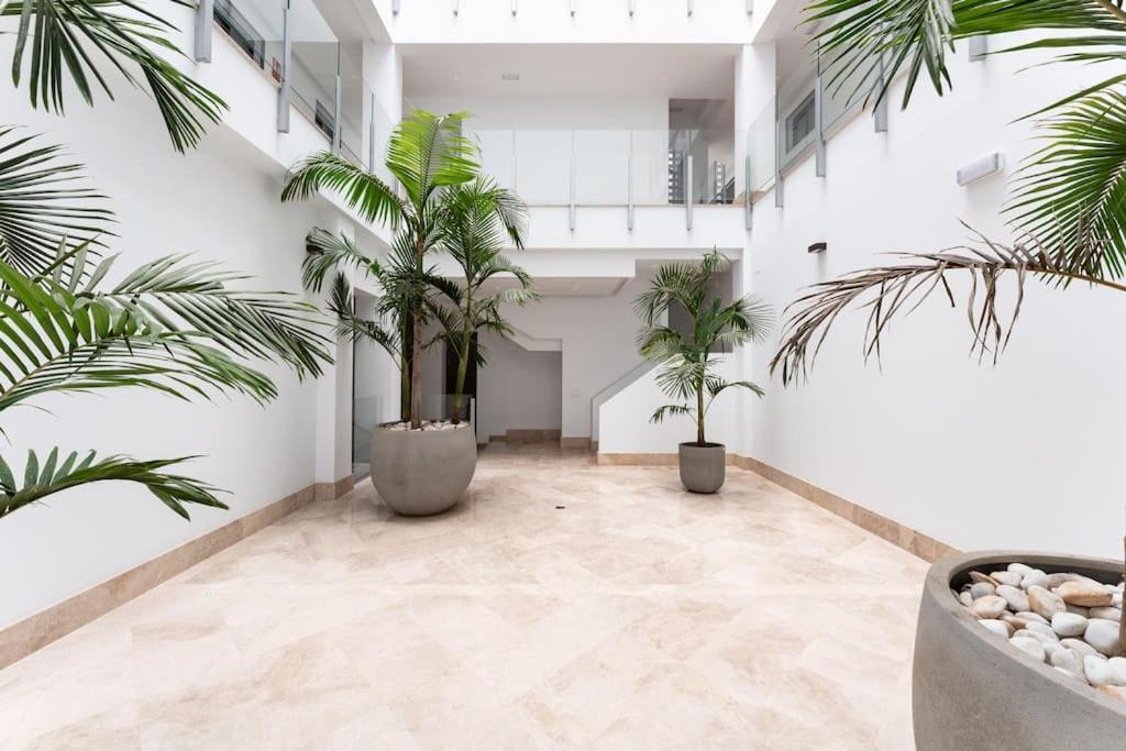 Apartment Premium Flat In Center With Free Parking