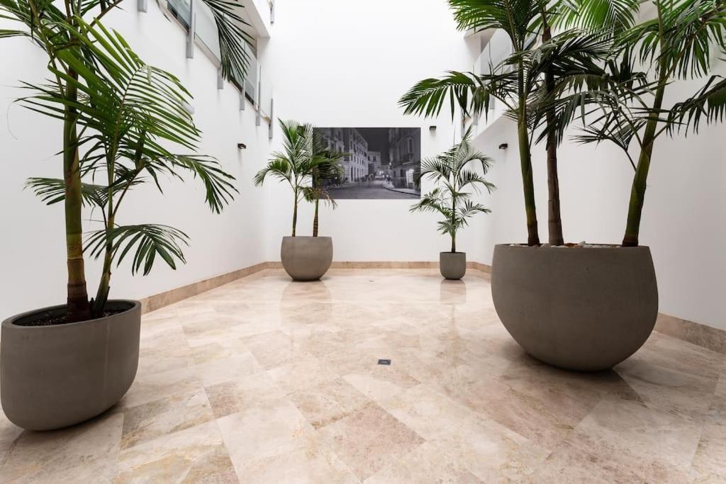Premium Flat In Center With Free Parking Apartment