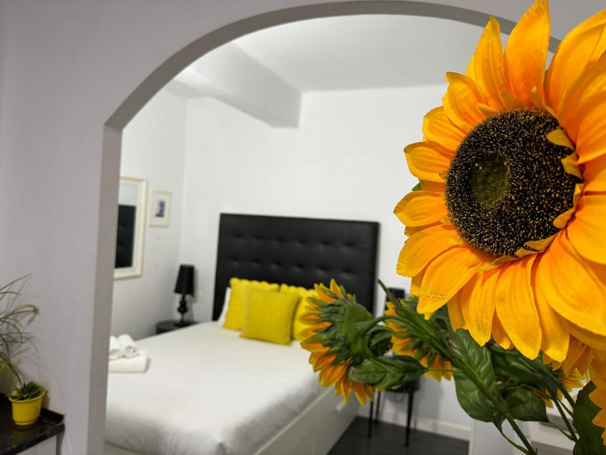 A 20 Pasos Del Museo Picasso Apartamento
