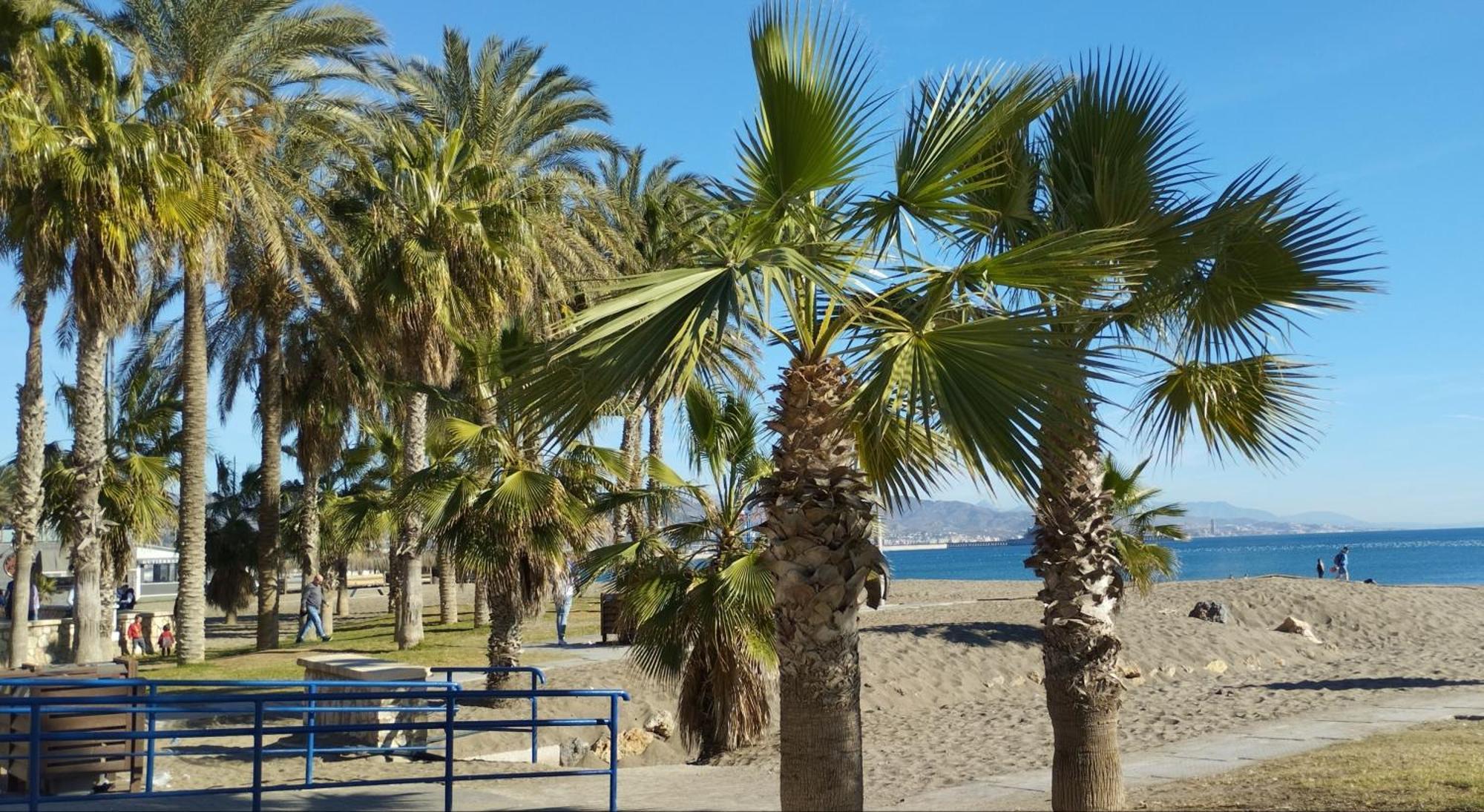 La Paloma - Giron Málaga