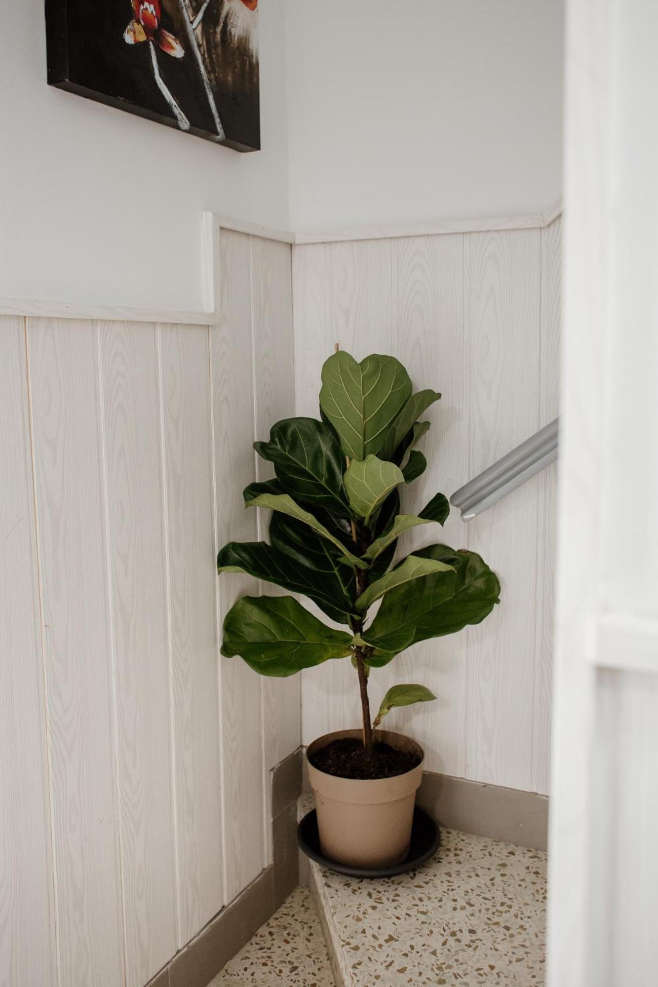 Apartamentos Turisticos Mastil 16 Guest house Malaga