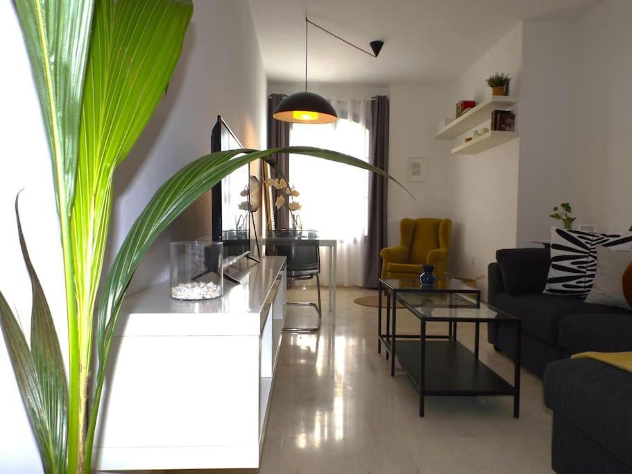 Apartamento Centrico B *