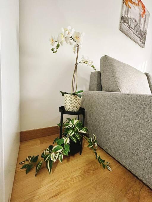 Apartment In The Heart Of *